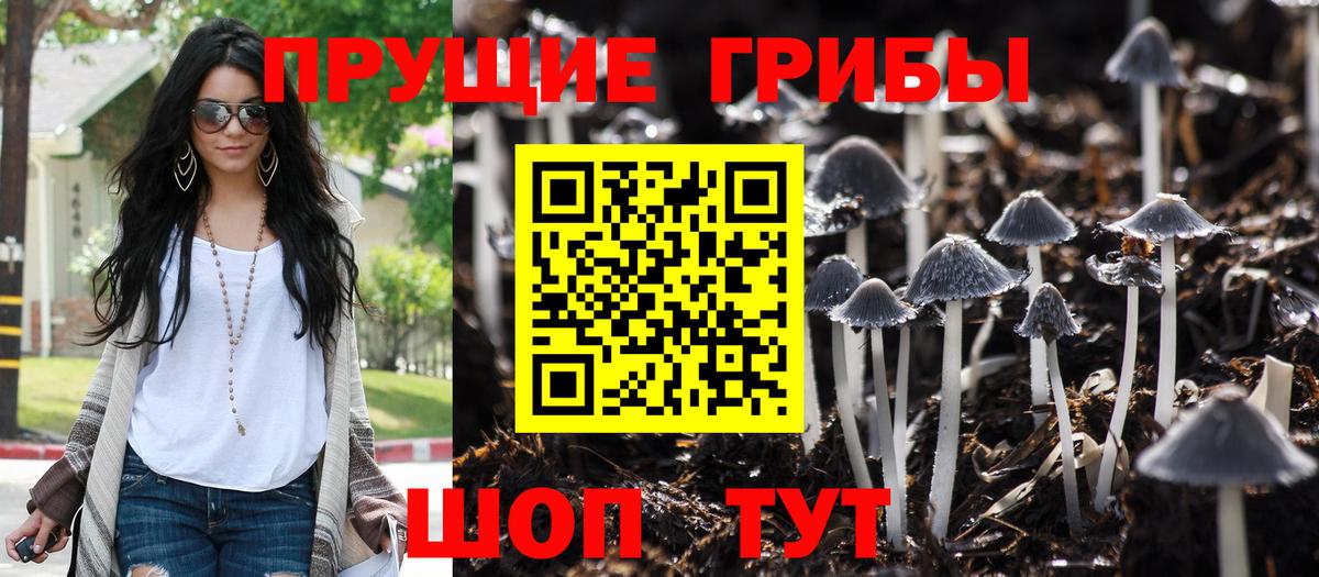 Губаха  Галлюциногенные грибы Magic Shrooms  Вход с VPN 