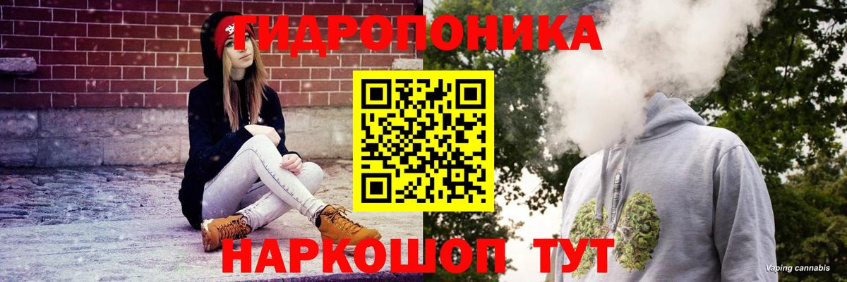 Бошки Шишки план  Конопля MAZAR  Губаха  Шишки марихуана планчик  Вход с VPN 